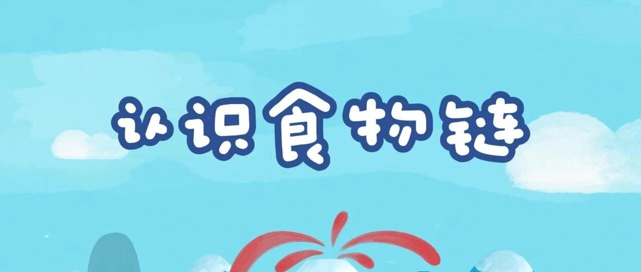 食物链