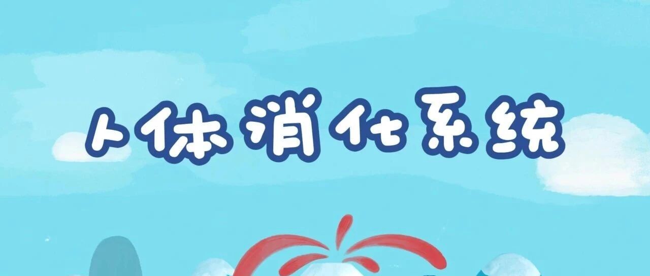 人体消化系统