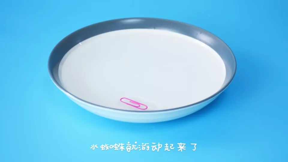 游动的水蜘蛛