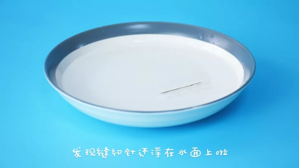 浮游的水蜘蛛