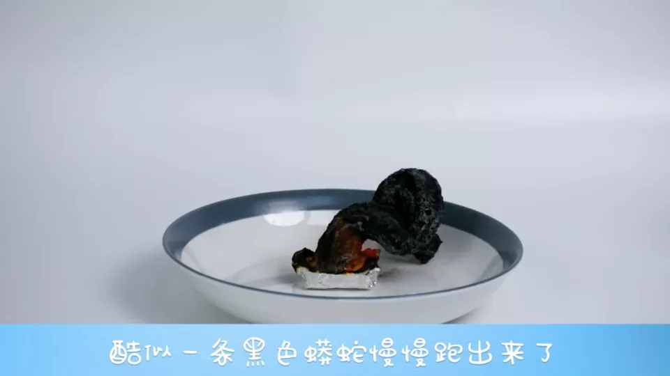 法老之蛇