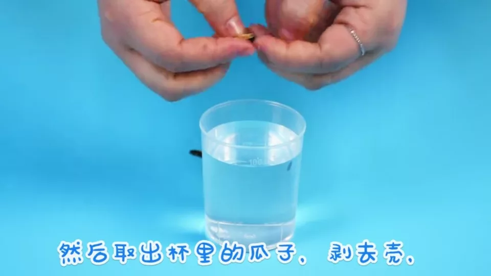 瓜子的救生衣