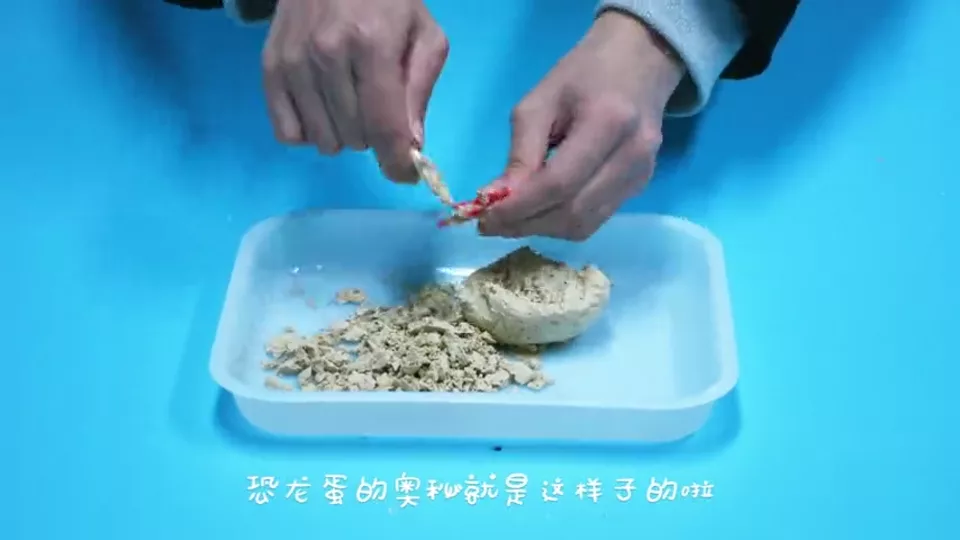 恐龙蛋